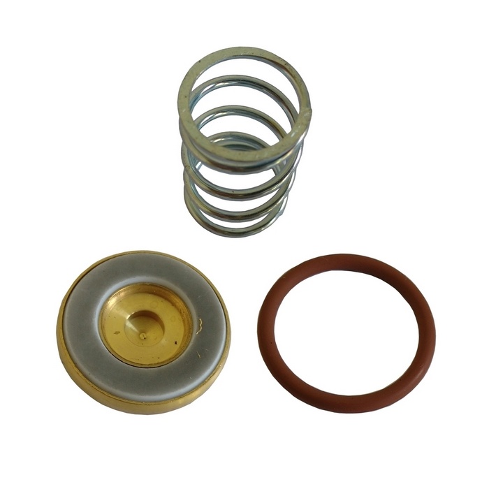 Reparo Para Válvula De Descarga/Canhão Wayne/Schulz.